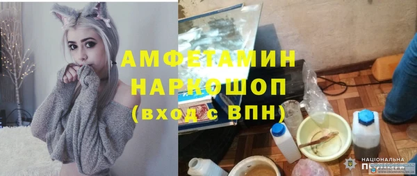 шишки Горнозаводск