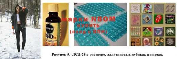 амф Горняк