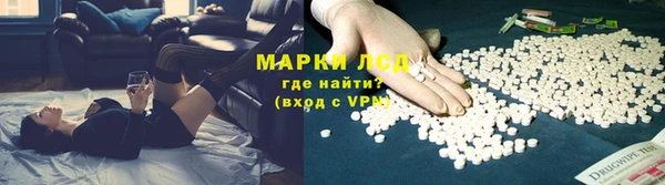 шишки Горнозаводск