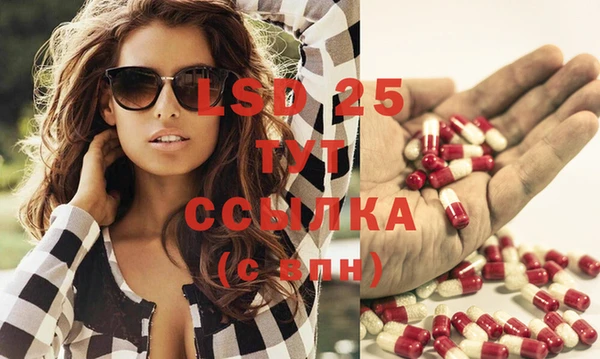 СК Гусев