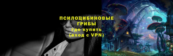 шишки Горнозаводск