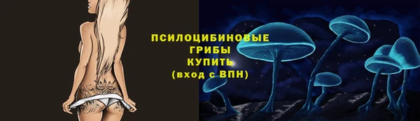 СК Гусев