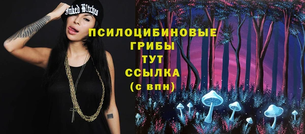 шишки Горнозаводск