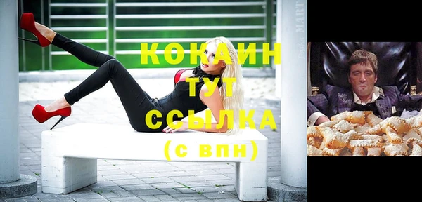 амф Горняк