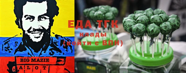 амф Горняк