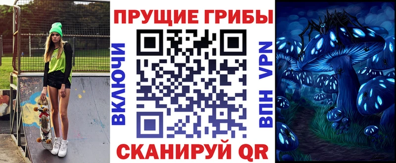 ОМГ ОМГ ссылка  Дмитров  Псилоцибиновые грибы GOLDEN TEACHER  магазин   